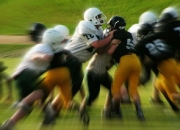 米兰捕鱼-爱尔兰队在国际比赛中夺魁——荣耀背后的坚韧与奋斗