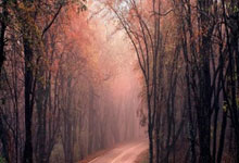 米兰捕鱼-塔斯马尼亚联全队士气高昂，冲击世俱杯更高荣誉