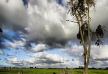 milan.com-热刺击败赫尔城，终结连败窘境