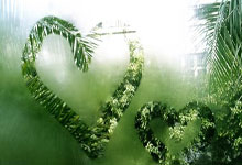 米兰体育,-曼联阵容磨合加速，迎接严峻挑战