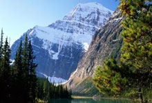 米兰体育下载-拳风掠境：绿岛战神撕裂擂台沉默重炮的晋级密码