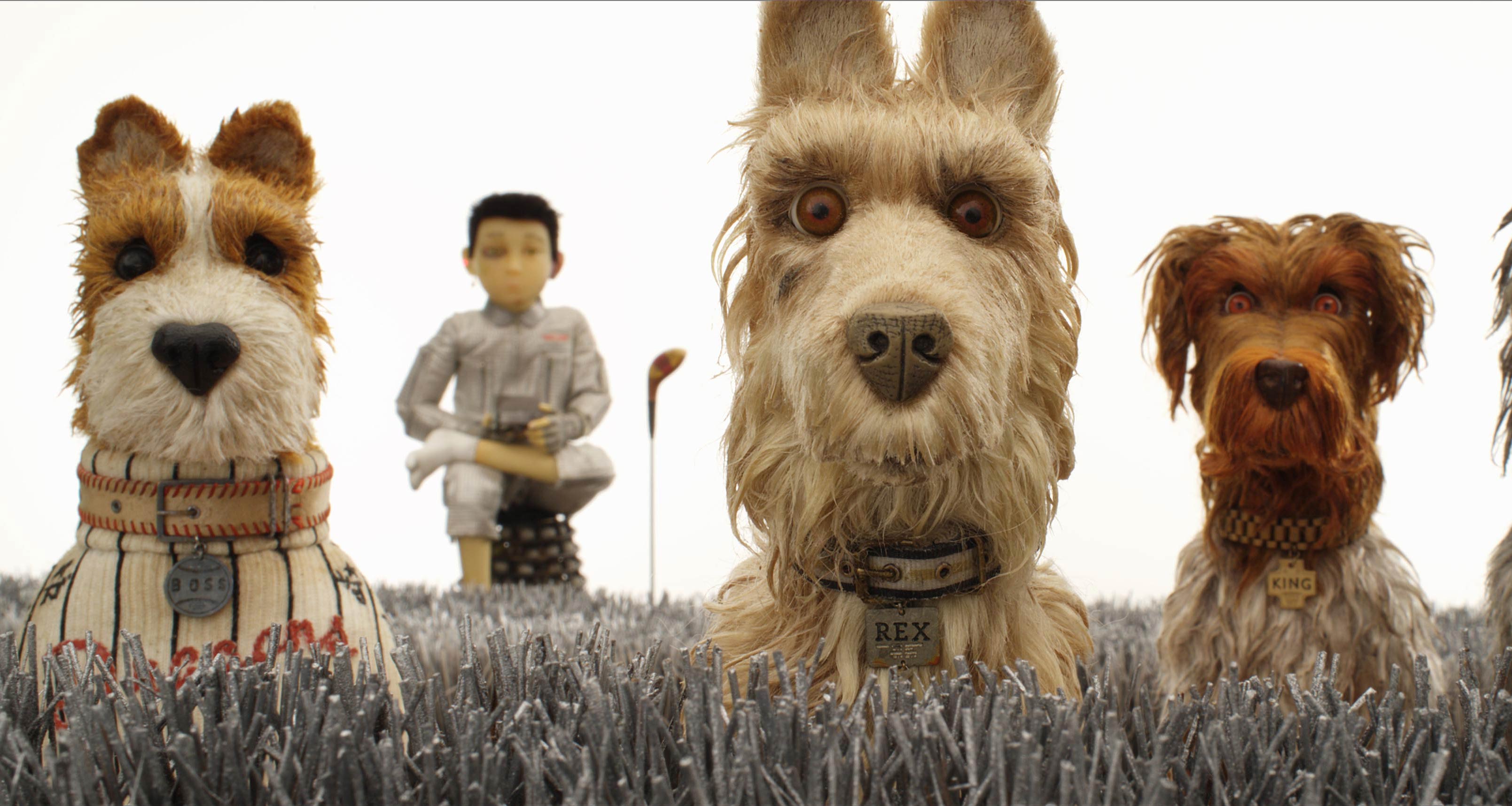 韦斯现身席外爆棚，意想不到的发展的简单介绍